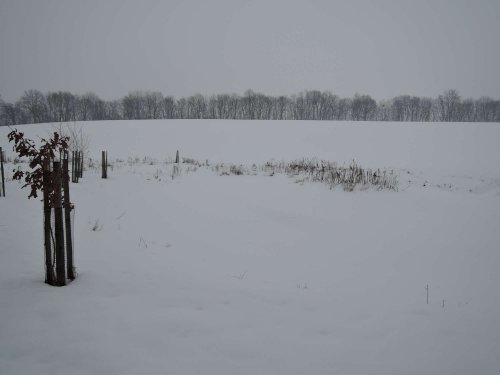 Světový den mokřadů v Podolí - 4.2.2017