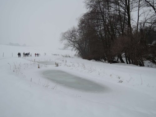 Světový den mokřadů v Podolí - 4.2.2017