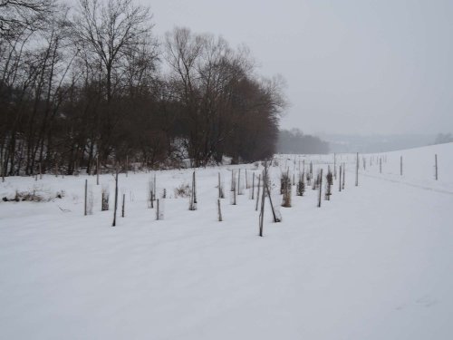 Světový den mokřadů v Podolí - 4.2.2017