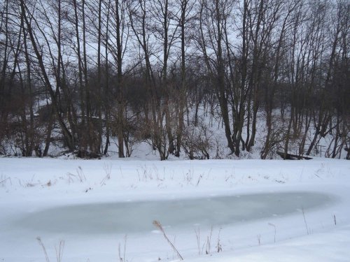 Světový den mokřadů v Podolí - 4.2.2017