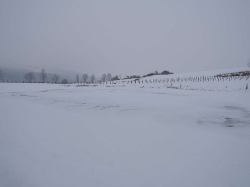 Světový den mokřadů v Podolí - 4.2.2017