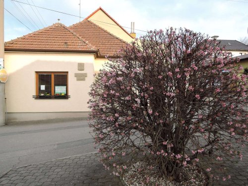 Zkouška na královničky - 24.3.2017