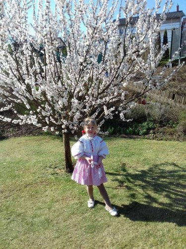 Královničky v Podolí - 2.4.2017