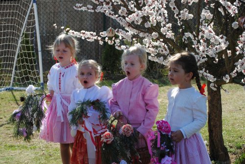 Královničky v Podolí - 2.4.2017