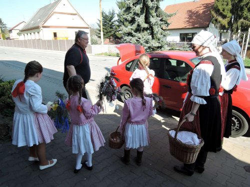 Královničky v Podolí - 2.4.2017