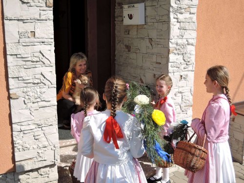 Královničky v Podolí - 2.4.2017