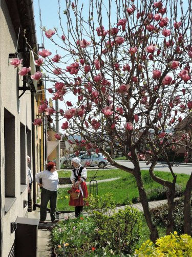 Královničky v Podolí - 2.4.2017