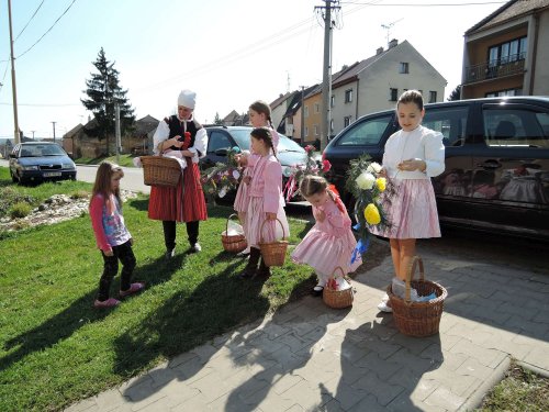 Královničky v Podolí - 2.4.2017