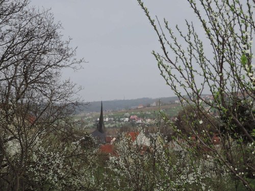 Soubor /2017-04-08-brigada-zahradkari-18.jpg