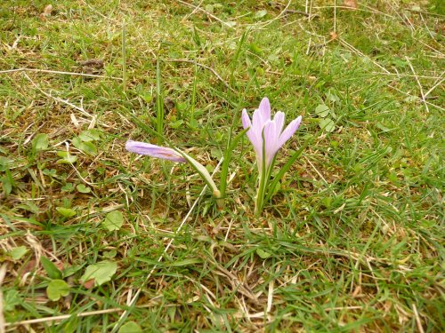 Vycházka na lačnovské paseky - 9.4.2017