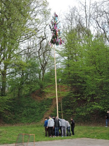 Stavění máje a pálení čarodějnic - 30.4.2017