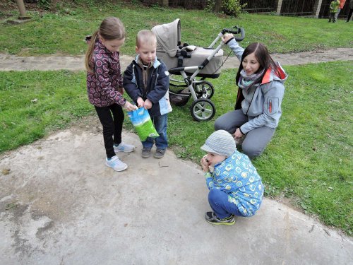 Stavění máje a pálení čarodějnic - 30.4.2017