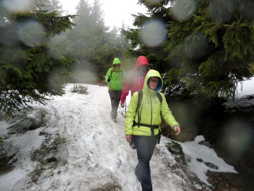 Soubor /2017-05-07-kralicky-sneznik.25.jpg