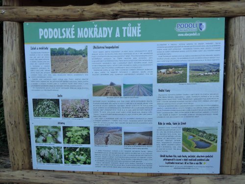 Druhé narozeniny mokřadů - 24.6.2017