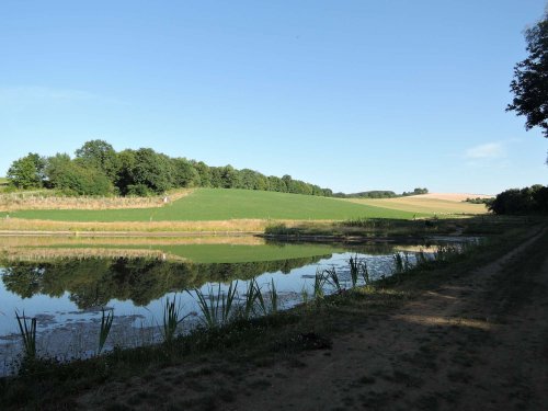 Druhé narozeniny mokřadů - 24.6.2017