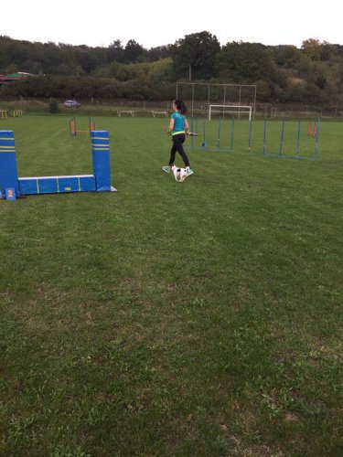 Sokolský sportovní den - 28.9.2017