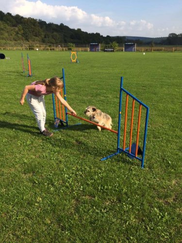 Sokolský sportovní den - 28.9.2017