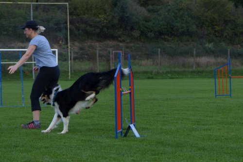 Sokolský sportovní den - 28.9.2017