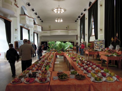 Soubor /2017-10-01-vystava-zahradkari-13.jpg