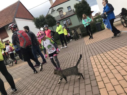 Na kole vinohrady - 8.10.2017