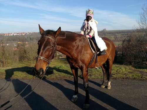 Tříkrálová sbírka - 6.1.2018