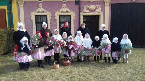 Královničky - 18.3.2018