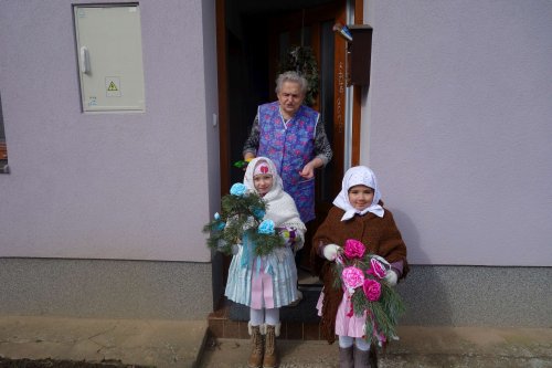 Královničky - 18.3.2018