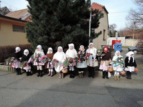 Královničky - 18.3.2018