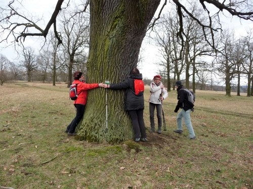 Sokolská vycházka na Radějov - 1.4.2018