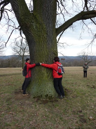 Sokolská vycházka na Radějov - 1.4.2018