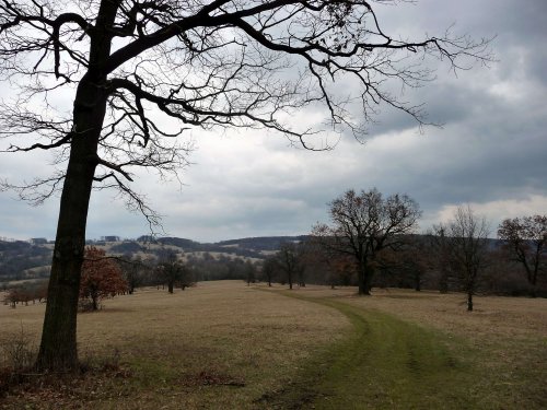 Sokolská vycházka na Radějov - 1.4.2018