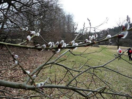 Sokolská vycházka na Radějov - 1.4.2018
