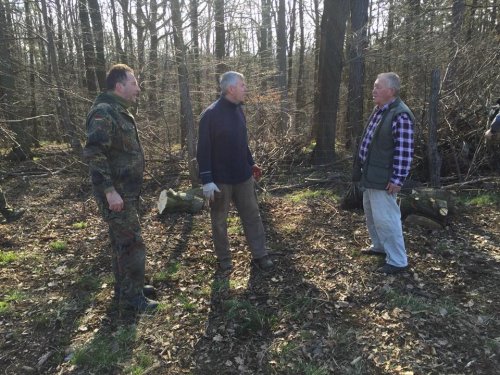 Soubor /2018-04-07-vysadba-dubu-12.jpg