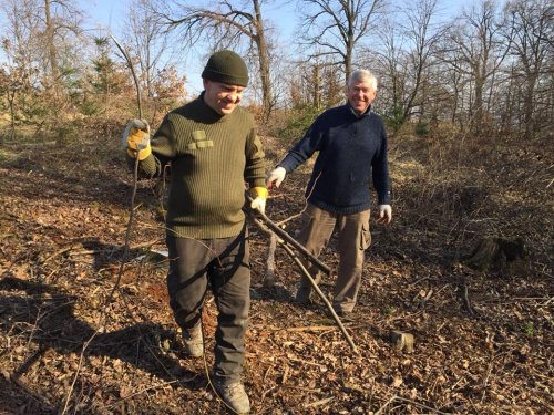 Výsadba dubů - 7.4.2018