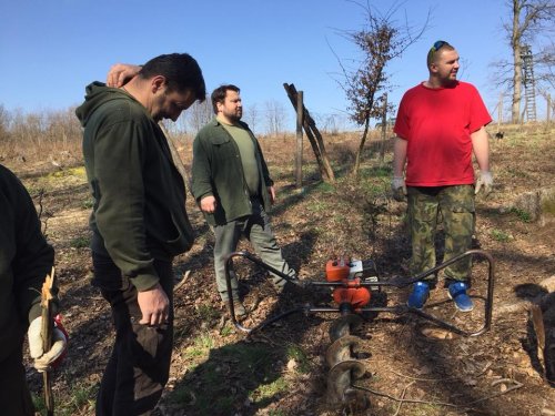 Výsadba dubů - 7.4.2018