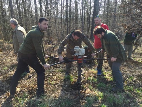 Výsadba dubů - 7.4.2018