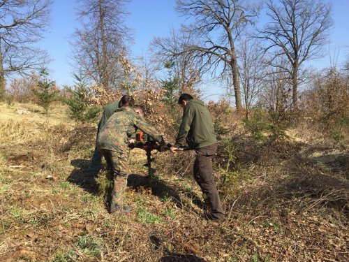 Výsadba dubů - 7.4.2018