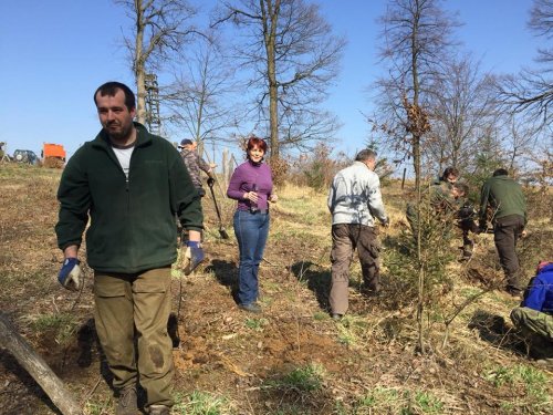 Výsadba dubů - 7.4.2018
