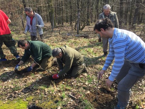 Výsadba dubů - 7.4.2018