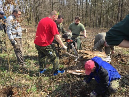 Výsadba dubů - 7.4.2018