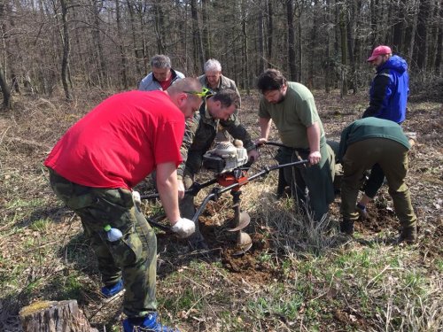 Výsadba dubů - 7.4.2018