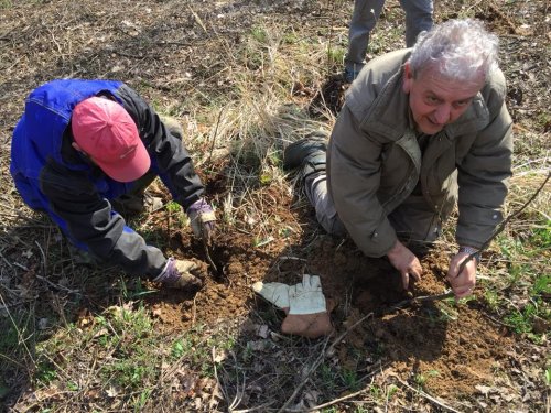 Výsadba dubů - 7.4.2018