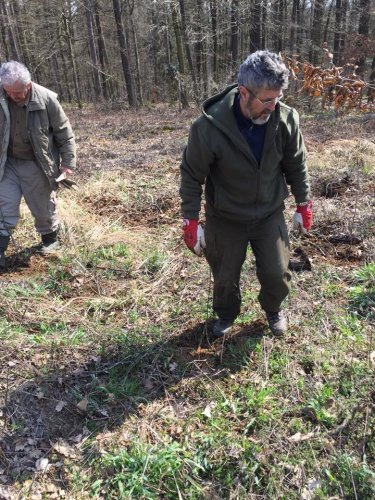 Výsadba dubů - 7.4.2018