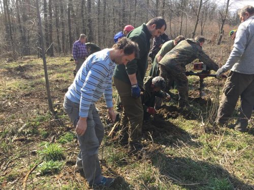Výsadba dubů - 7.4.2018