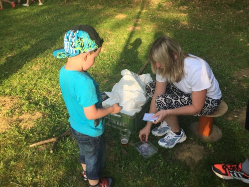 Stavjání mája a pálení čarodějnic - 30.4.2018