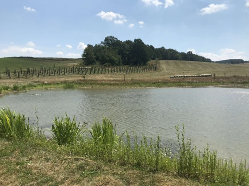 Vesnice roku - 21.6.2018