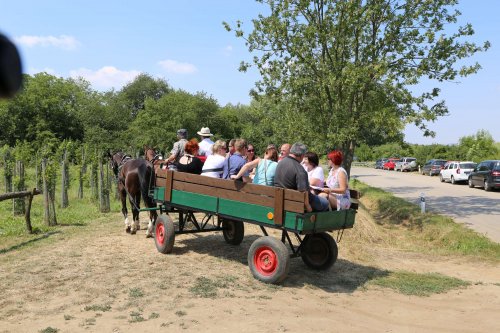 Vesnice roku - 21.6.2018