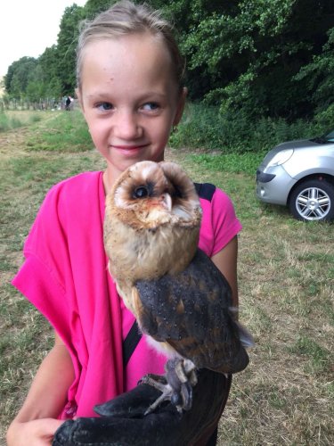 Soubor /2018-06-24-narozeniny-mokradu-50.jpg