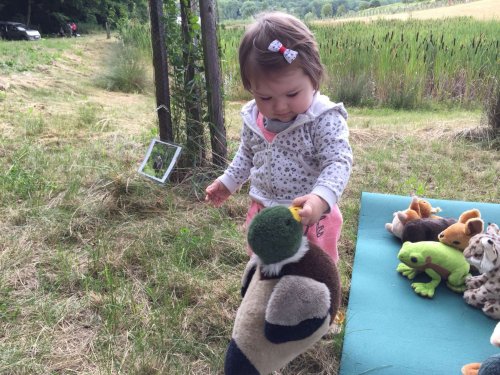 Narozeniny mokřadů - 24.6.2018