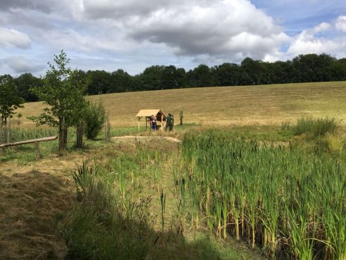 Narozeniny mokřadů - 24.6.2018